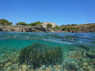 Fototapeta na wymiar Mediterranean sea in summer vacation, rocky coast with a building and seagrass with a fish underwater, Spain, Cadaques, Costa Brava, Catalonia, split view over and under water surface