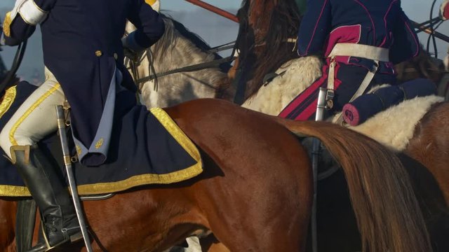 Horses in Napoleon army Grande Armee, Austerlitz