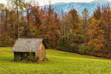 Old wooden house in Slovenian Alps surrounded by high colorful trees