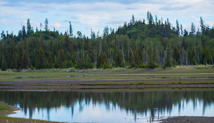 Fototapeta na wymiar Alaskan forest and lake