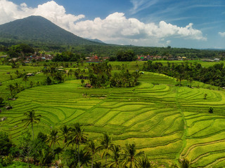 View of Jatiluwih rice terrace, Bali
