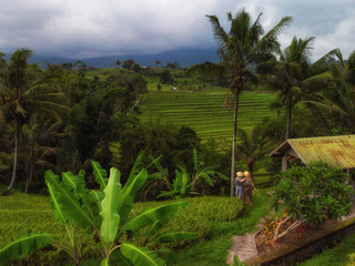 Fototapeta premium Couple at Jatiluwih rice terrace, Bali