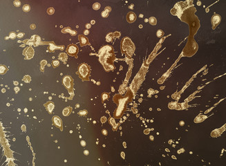 splatter paint background
