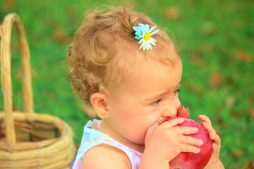  little girl in the garden eats pomegranate