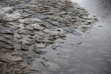 Sidewalk stones on a road and pool of water created by rain.