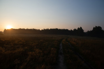 morning on meadow. sunrise landscape photo with vintage effect