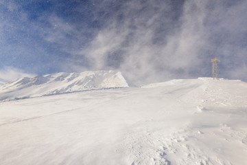 Fototapeta na wymiar snow blizzard in the mountains