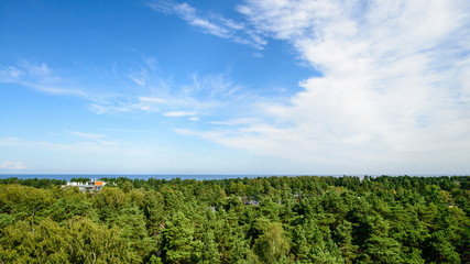 Fototapeta na wymiar Beautiful view on Baltic sea and pine forest from the observation deck in Dzintari Park, Jurmala, Latvia