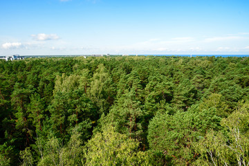 Fototapeta na wymiar Beautiful view on Baltic sea and pine forest from the observation deck in Dzintari Park, Jurmala, Latvia