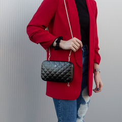 elegant woman with bag