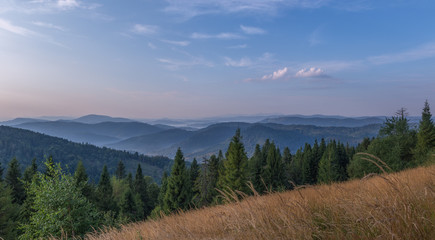 Fototapeta na wymiar Beautiful panorama of Carpathians sunmmer morning