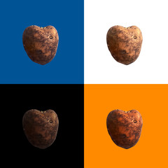 Potato heart. Dirty heart-shaped potato tuber on white, blue, yellow and black backgrounds. Square orientation of the concept of love for food. Vegetarian love.