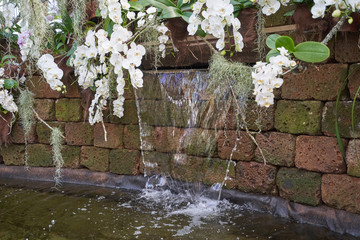 Small artificial waterfall in a pond of a botanical garden with white orchid flowers, with text space