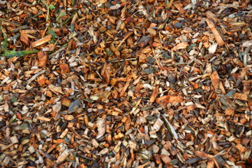 A pile of damp wood chippings