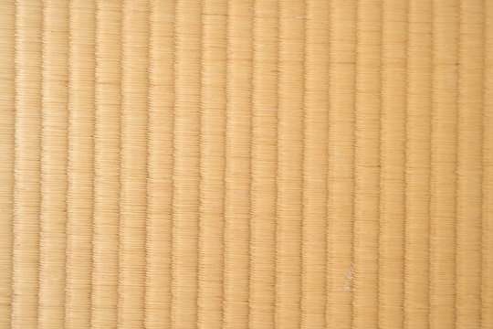 297 最適な イグサ 画像 ストック写真 ベクター Adobe Stock