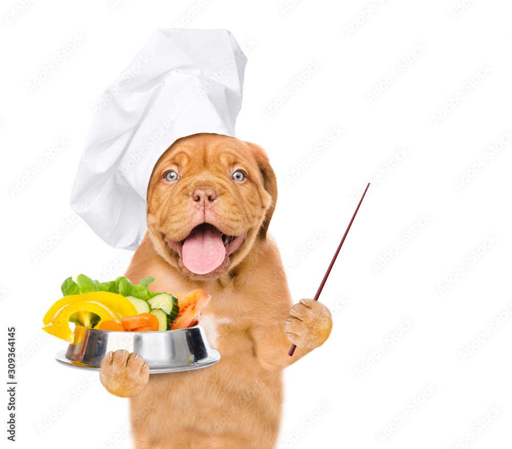Poster funny puppy wearing a chef's hat with a bowl of vegetables pointing away on empty space. isolated on
