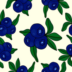 Cute seamless pattern.Blueberies icons on a beautiful background. Elements for your design. Hand drawn vector illustration.