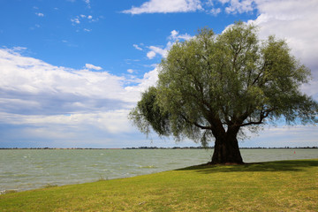 The wide open spaces of Lake Bolac near Swan Hill in north west Victoria, Australia.