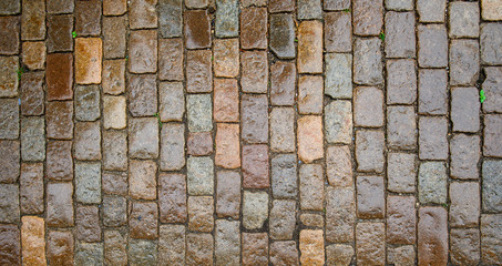 wet stone paving stone tiles after rain