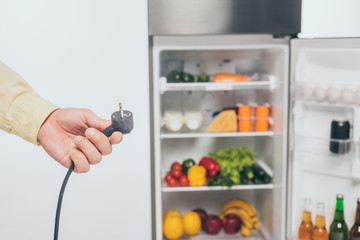 cropped view of man holding unplugged power cord of fridge isolated on white