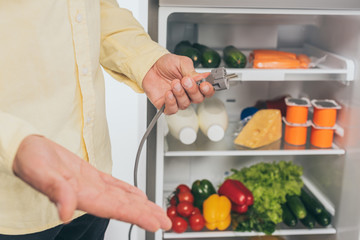 cropped view of man holding unplugged power cord of fridge isolated on white