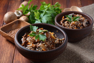 Buckwheat porridge with mushrooms in a bowl. Vegan , gluten-free. Russian or Ukranian cuisine. Healthy food concept
