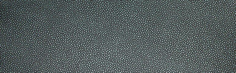 top view of empty dotted grey paper texture, panoramic shot