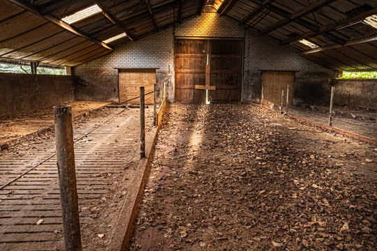 Light In Empty Cowshed