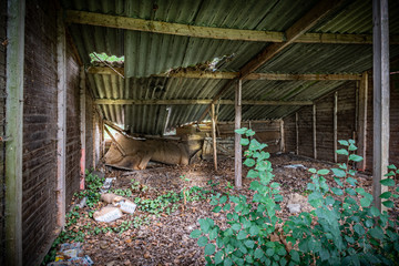 Abandoned empty garage
