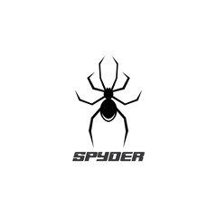 Spider Logo design vector illustration design template