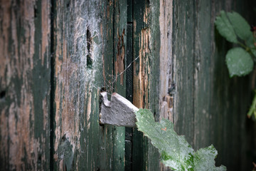 Missing door handle