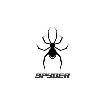 Spider Logo design vector illustration design template