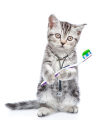 Kitten with stethoscope on his neck stands on hind legs and holds toothbrush. isolated on white background