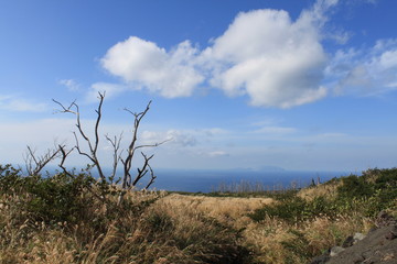 Fototapeta na wymiar ススキのある絶景