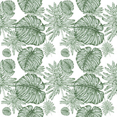 pattern tropical leaves