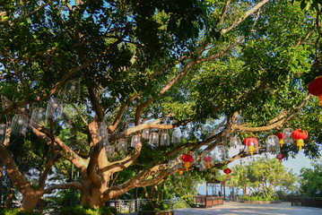 Beautiful nature in China Hainan