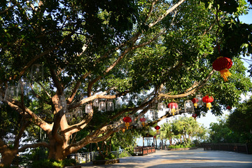 Beautiful nature in China Hainan