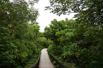 Beautiful nature in China Hainan