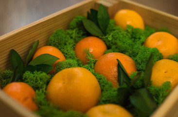 Wooden box with tangerines packed with moss