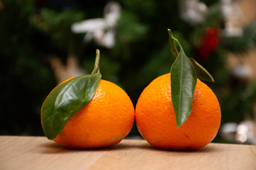 orange mandarin on christmas tree background 