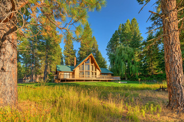 Fototapeta na wymiar Luxury Cedar cabin home with Large pine tree and pond