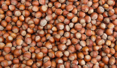 Ripe hazelnuts of the new crop at the farmers market.
