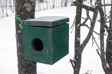 empty green birdhouse hanging on a tree trunk in the forest