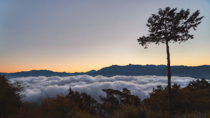 Early morning in Alishan mountains, Taiwan	