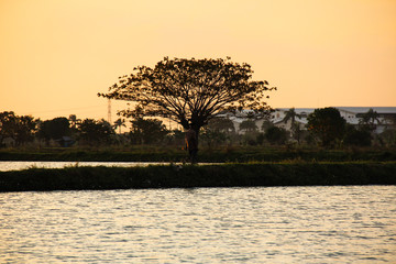 Fish Ponds view in the afternoon