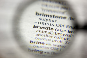 The word or phrase Brindle in a dictionary.
