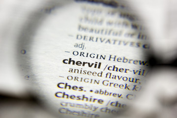 The word or phrase Chervil in a dictionary.