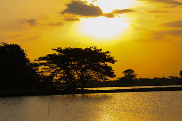 Fish Pond in the afternoon moment