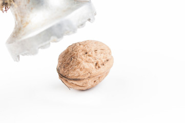 Walnut and hammer isolated on white background.Copy space.