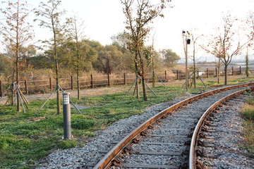 Fototapeta premium railway in forest